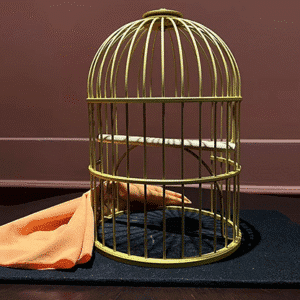 Tommy Wonder Classic Collection Flying Birdcage par JM Craft
