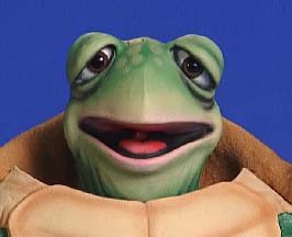 MR. Tucker -Turtle Puppet by Axtell
