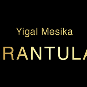 Tarantula II par Yigal Mesika