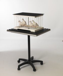 Cage à disparition de colombes professionnelle - Matinelli