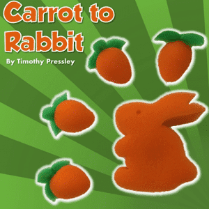 Sponge Carrot to Rabbit by Timothy Pressley and Goshman