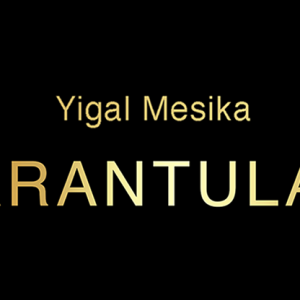 Tarantula II by Yigal Mesika